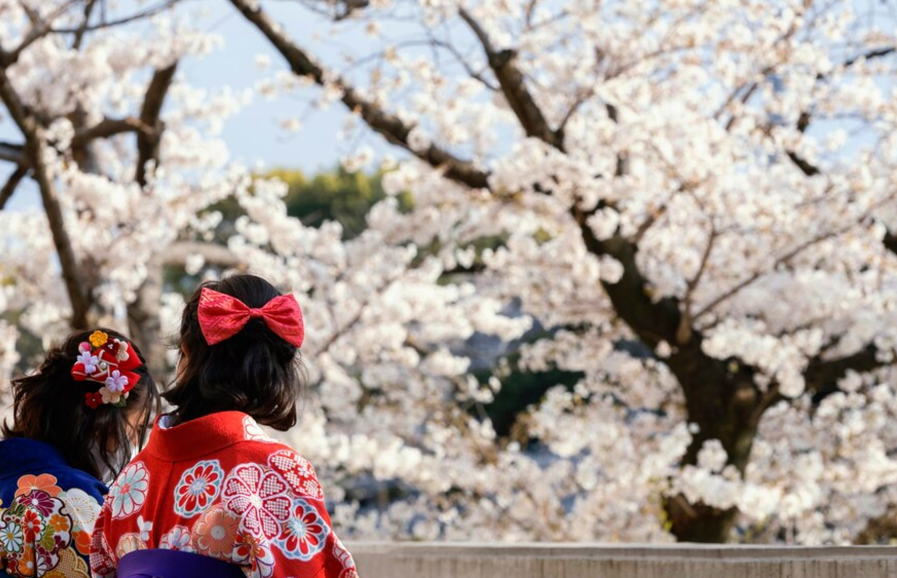 Promosi Penyesuaian Budaya
